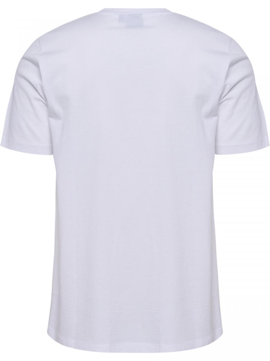 gallery-31376-for-1975543