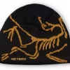 ArcTeryx  Bird Head Toque