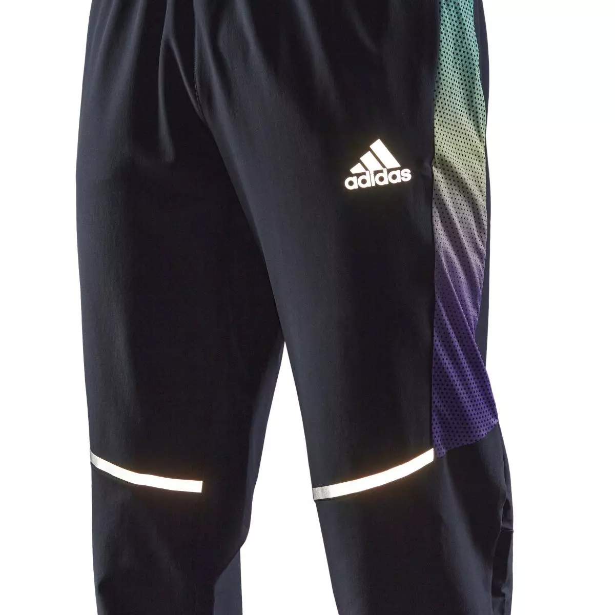 gallery-31751-for-1666371