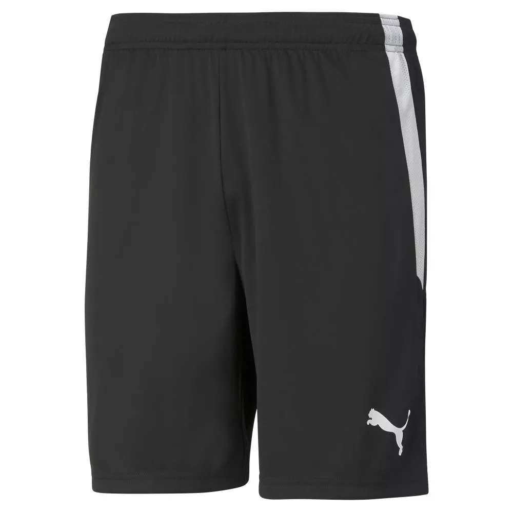 Puma Teamliga Shorts Jr