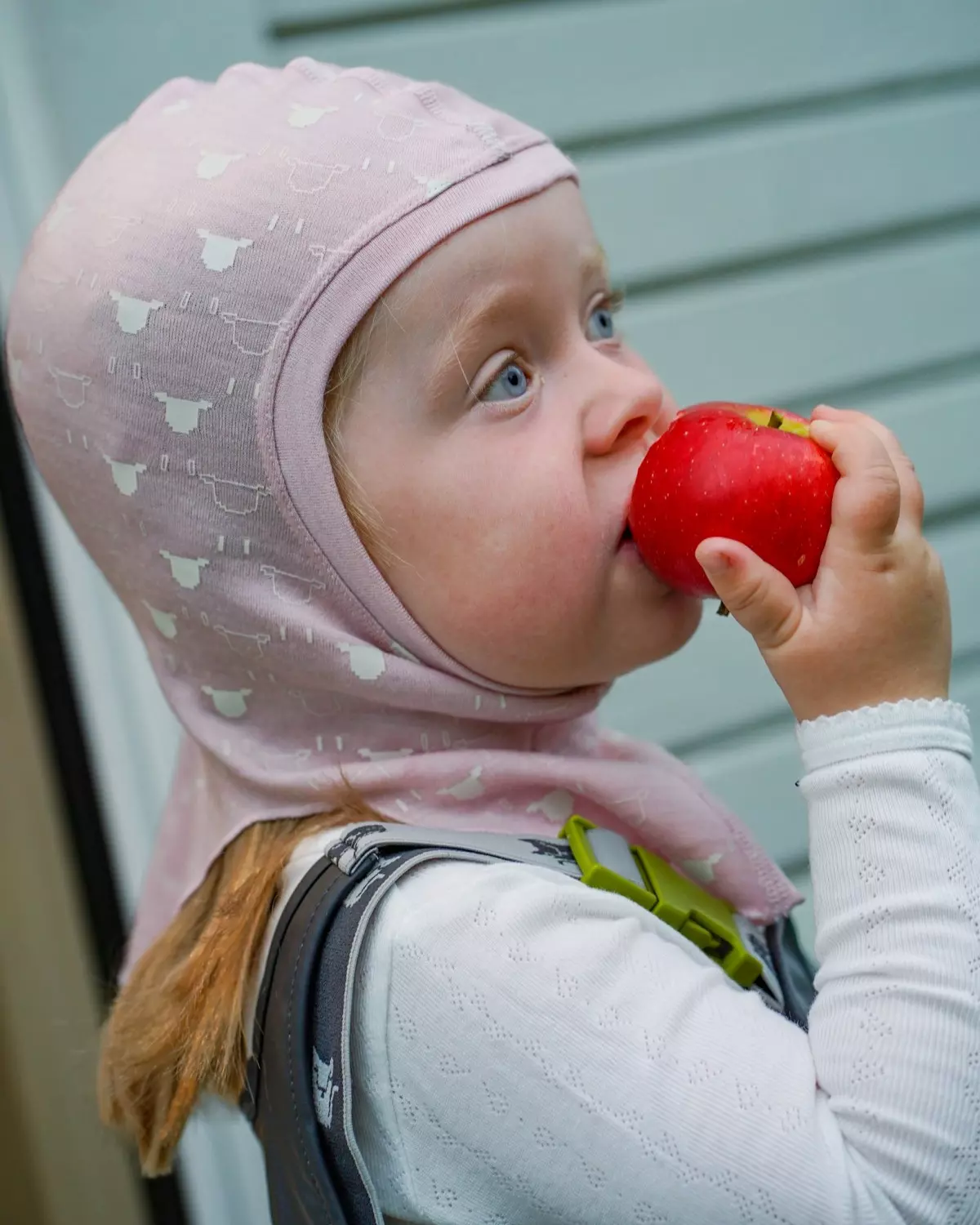 Kattnakken  Balaklava-Tynn Ull - 2 Fargevalg