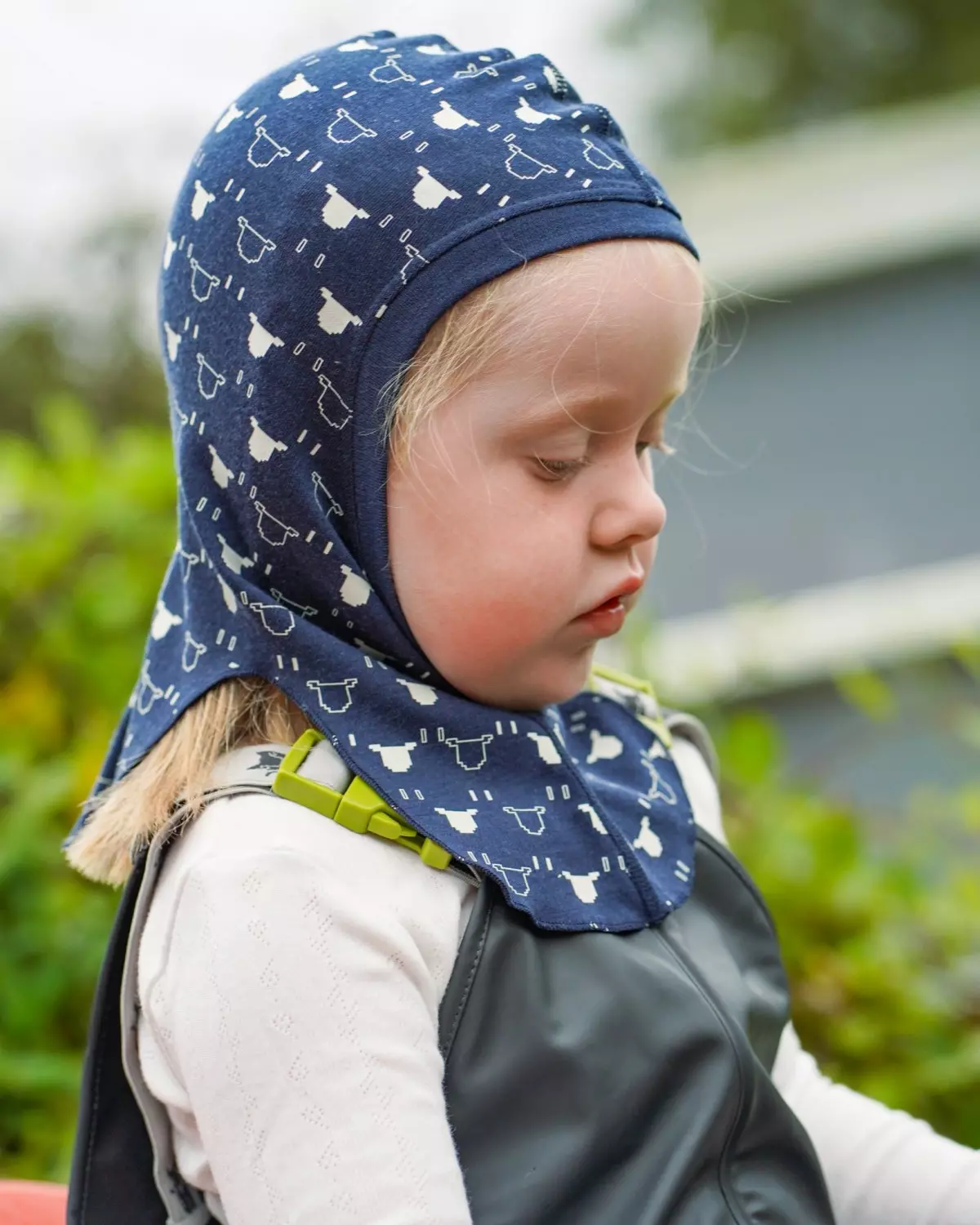 gallery-33946-for-1375-7072394