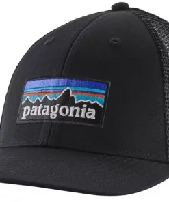 Patagonia  P-6 Logo LoPro Trucker Hat