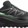 Salomon  Ultra Flow 2 Gtx