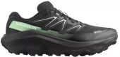 Salomon  Ultra Flow 2 Gtx