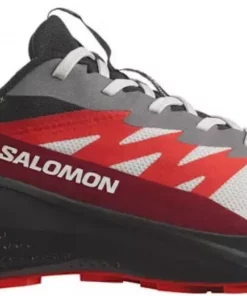 Salomon  Alphaglide Gtx Løpesko terreng