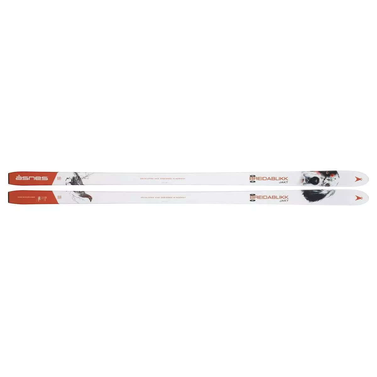 Åsnes  Breidablikk Bc Ski Wl/Fl Crown