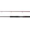 Penn Squadron Iii Allround 302 100-300g Haspel