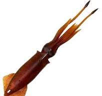 swim Squid 188mm 63gr rød/brun
