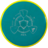 Axiom Discs Midrange Hex 170-175g