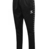 Hummel  Hmlauthentic Training Pants