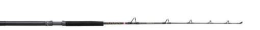 Penn  Squall Ii 20-50lb 5ft6