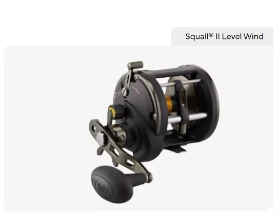 Penn  Squall II 50 Level Wind