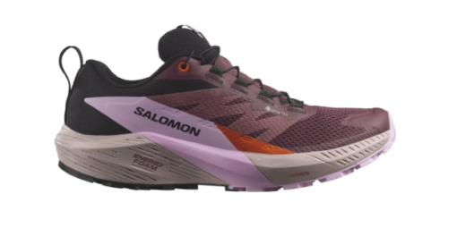 Salomon  Sense Ride 5 Gtx W