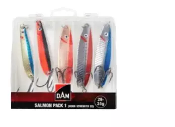 DAM  SALMON PACK 1 INC. BOX 28-35G