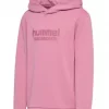 Hummel  Hmljr Base Hoodie