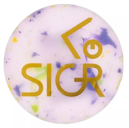 SIGR  SIGR Flex mini