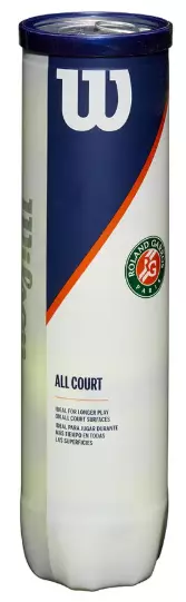 Wilson  Roland Garros All Ct 4 Ball