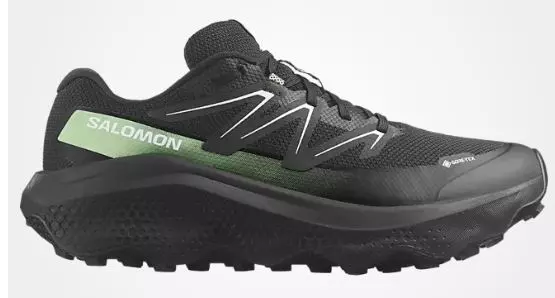 Salomon  Ultra Flow 2 Gtx