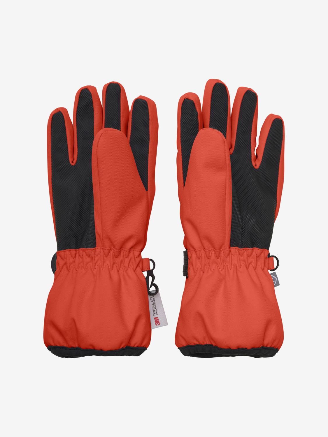 gallery-4138-for-2033308