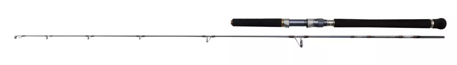 Penn  BATTALION SOLID JIGGING 6FT 300G 1P1