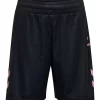 Hummel  Hmlshimmer Shorts