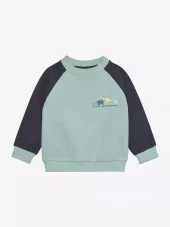 Color Kids  Baby Sweat