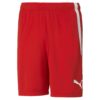 Puma  teamLIGA Shorts Jr