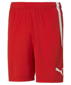 Puma  teamLIGA Shorts Jr