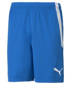 Puma  Teamliga Shorts