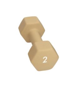 Abilica  Dumbbell 2 Kg