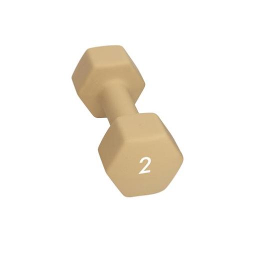 Abilica  Dumbbell 2 Kg