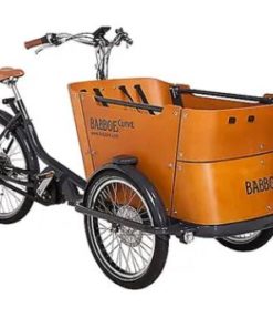 Babboe Curve Mountain 500Wh