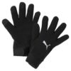 Puma  teamLIGA 21 Winter gloves