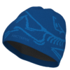 ArcTeryx  Bird Head Toque