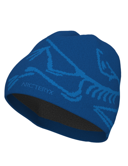 ArcTeryx  Bird Head Toque