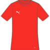 Puma  Teamrise Matchday Jersey