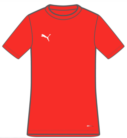 Puma  Teamrise Matchday Jersey