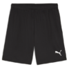 Puma  Teamgoal Shorts