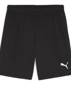 Puma  Teamgoal Shorts