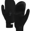 ArcTeryx  Venta Mitten