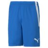 Puma  Teamliga Shorts Jr