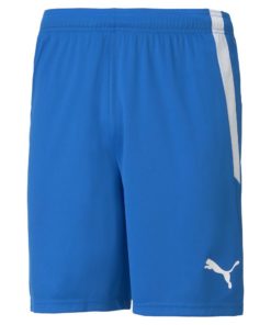 Puma  Teamliga Shorts Jr