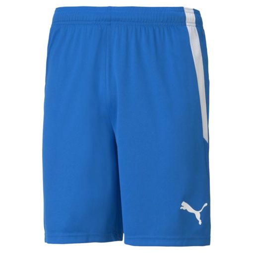 Puma  Teamliga Shorts Jr