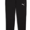 Puma  Teamfinal Casuals Pants