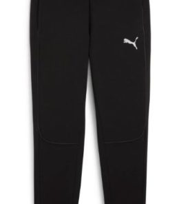 Puma  Teamfinal Casuals Pants