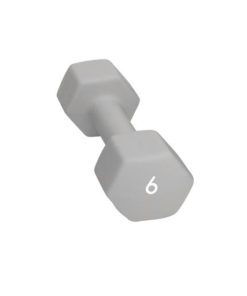 Abilica  Dumbbell 6 Kg