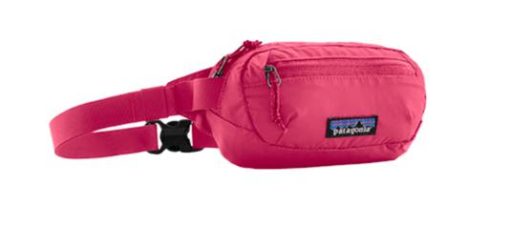 Patagonia  Terravia Mini Hip Pack