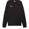 Puma  Teamgoal Casuals Crew Neck Sweat
