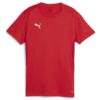 Puma  Teamgoal Jersey Wmn